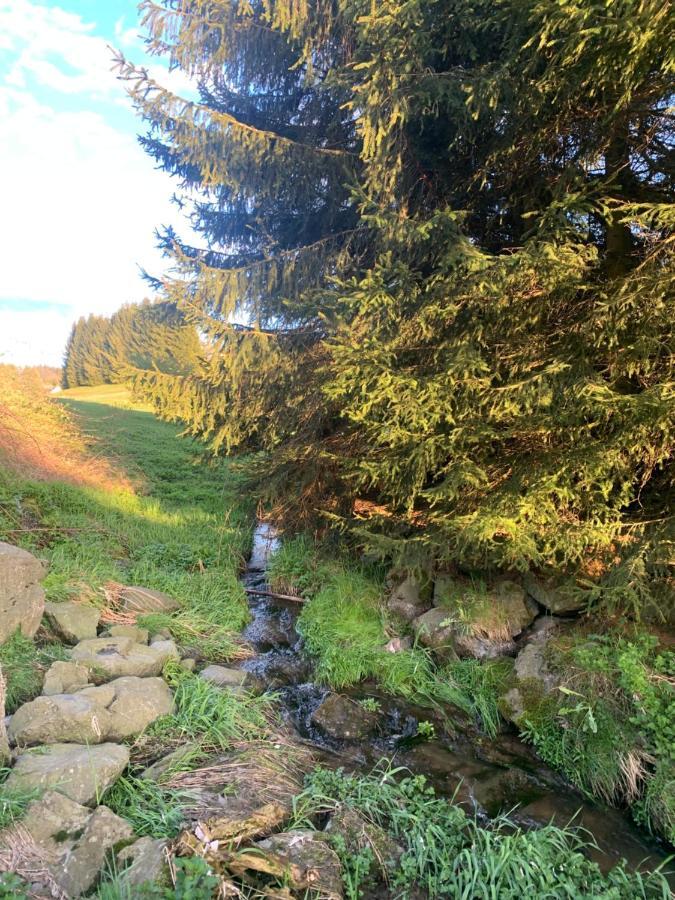 Hillside Vandrarhem Bischofsgrün Exteriör bild